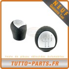 Pommeau Levier de Vitesse pour RENAULT Clio II Kangoo