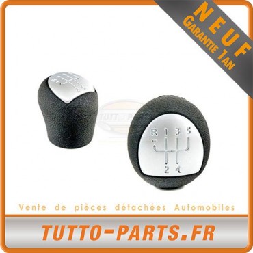 Pommeau Levier de Vitesse pour RENAULT Clio II Kangoo