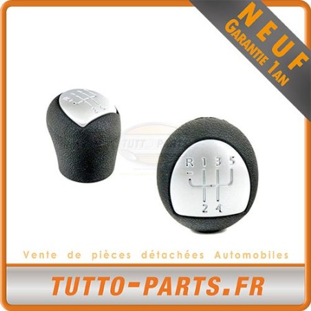 Pommeau Levier de Vitesse pour RENAULT Clio II Kangoo