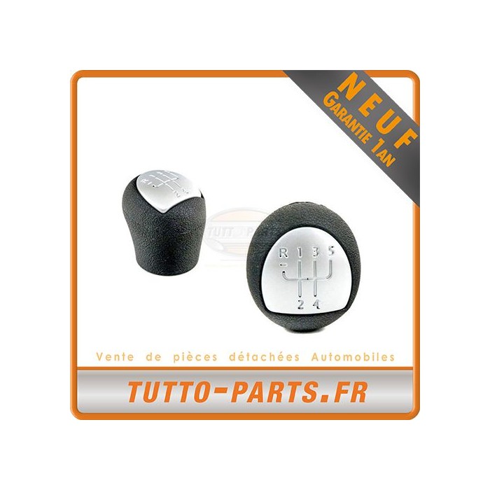 Pommeau Levier de Vitesse pour RENAULT Clio II Kangoo