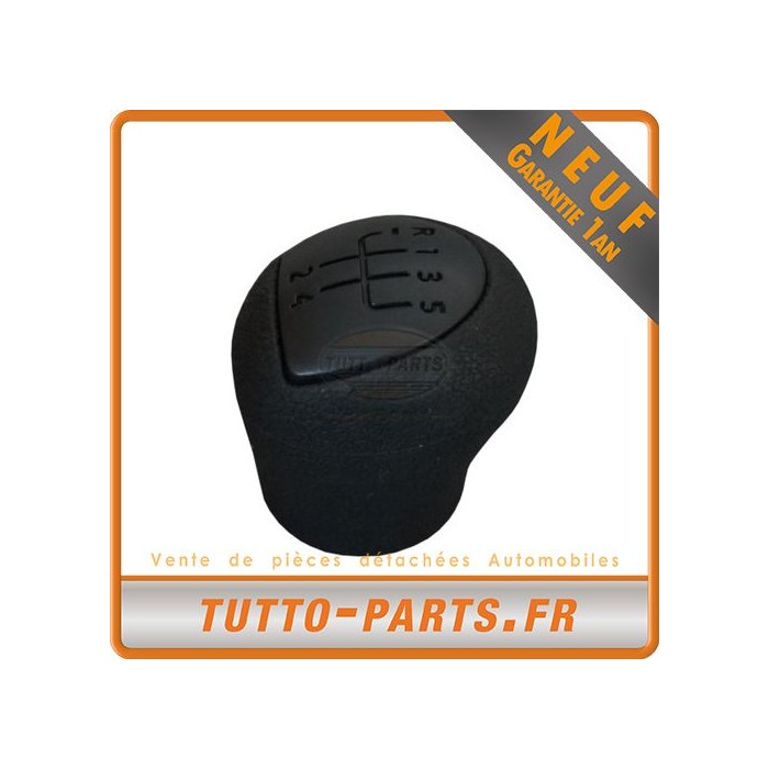 Pommeau Levier de Vitesse pour RENAULT Clio II Kangoo