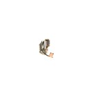 Jeu Contacts d'Allumage Pour Peugeot BMW Opel Ford 5422564 12111267393 1612011