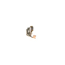 Jeu Contacts d'Allumage Pour Peugeot BMW Opel Ford 5422564 12111267393 1612011