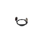 Sonde Lambda Pour Ford Ecosport Fiesta VII 2118242 2314274 H1B19Y460DA