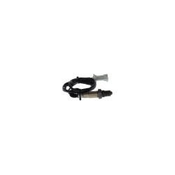 Sonde Lambda Pour Peugeot 307 308 407 408 607 807 Expert Citroën C4 I Picasso