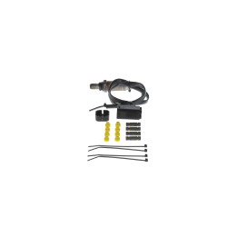 Sonde Lambda Pour Renault Nissan Buick Chevrolet 8200024503 2269001P00 19178951