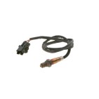 Sonde Lambda Pour Ferrari MAN Porsche 178290 51116140004 99660613001 182837