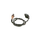 Sonde Lambda Pour Ferrari MAN Porsche 178290 51116140004 99660613001 182837