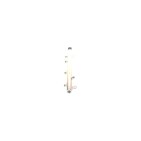 Rampe d'injecteur Rail D'injection Pour Peugeot Fiat Citroën Iveco 1570N8