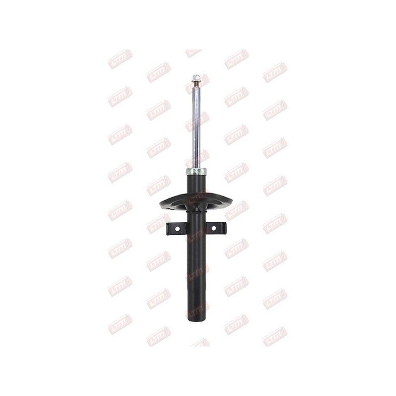 Amortisseur Suspension Avant Pour Renault Grand Scénic II 8200367538 8200367539