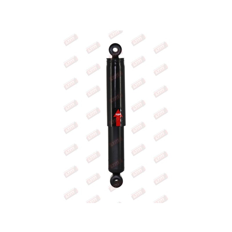 Amortisseur Suspension Arrière Pour Renault Express Kangoo III 8200540754