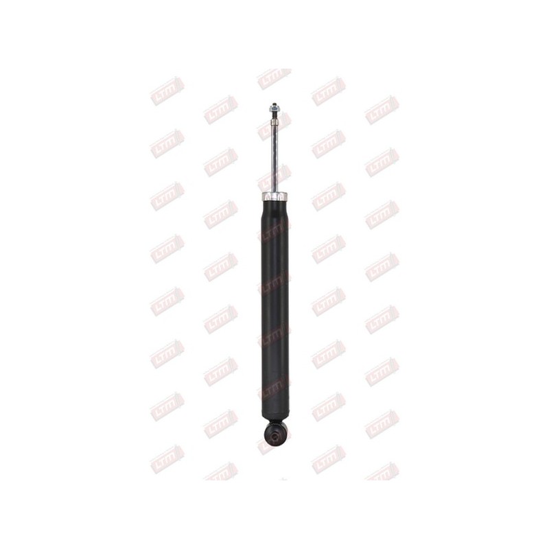 Amortisseur Suspension Arrière Pour Peugeot Citroën DS 5206RT 5206ZV 5206ZW