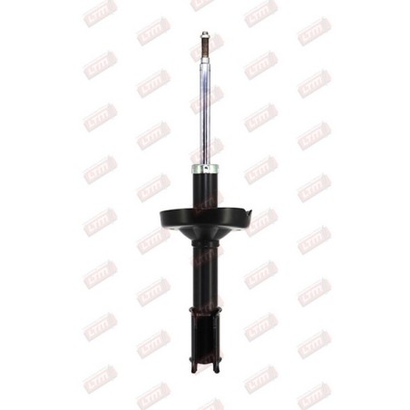 Amortisseur Suspension Avant Pour Renault Clio II Thalia I 8200030741 8200059508