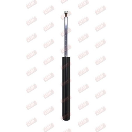 Amortisseur Suspension Avant Pour Peugeot 106 I II Citroën AX Saxo
