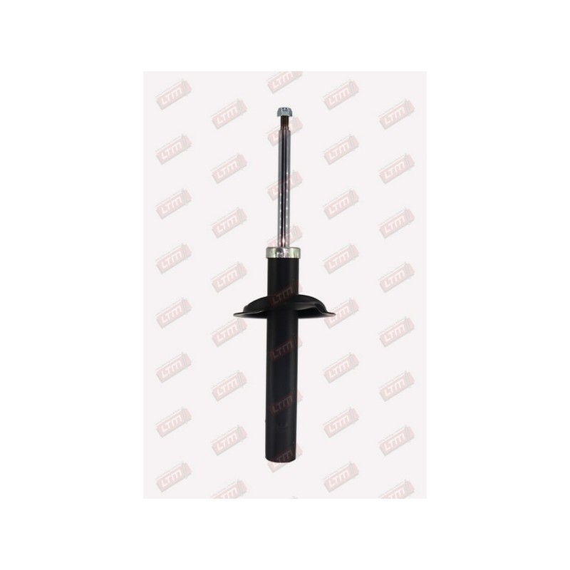 Amortisseur Suspension Avant Droit Pour Peugeot 306 Citroën ZX 5202JR 5202N6