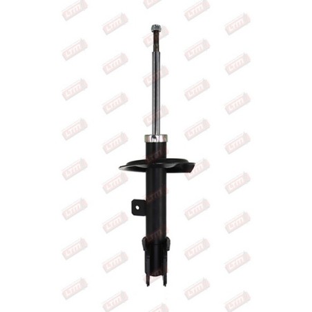 Amortisseur Suspension Avant Droit Pour Peugeot 307 5202EF 5202EH 5202HR 520844
