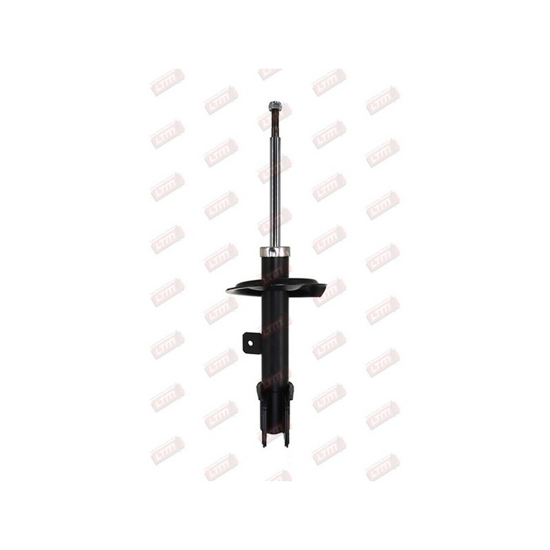Amortisseur Suspension Avant Droit Pour Peugeot 307 5202EF 5202EH 5202HR 520844