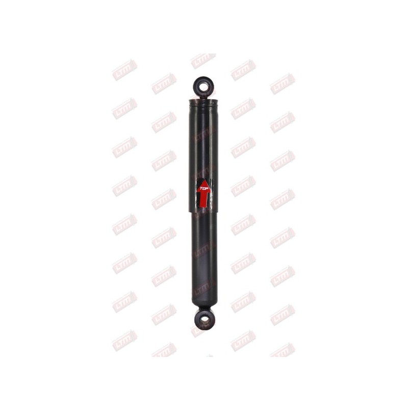 Amortisseur Suspension Arrière Pour Peugeot Fiat Citroën 5206S4 1303682080