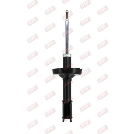 Amortisseur Suspension Avant Pour Renault Clio II Thalia I 8200030741 8200059508