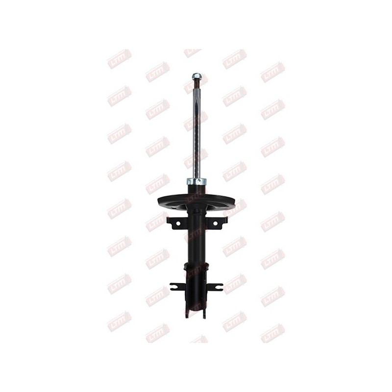 Amortisseur Suspension Avant Pour Renault Laguna II 8200657093 8200657096
