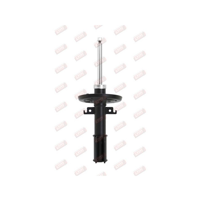 Amortisseur Suspension Avant Pour Renault Fluence Megane CC III 543020008R