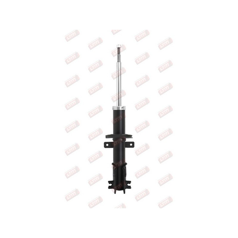 Amortisseur Suspension Avant Pour Renault Opel Vauxhall 543023582R 4411799