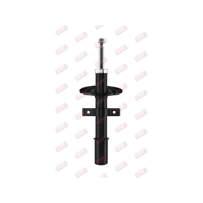 Amortisseur Suspension Avant Pour Renault Clio III Modus 8200556695 8200675732