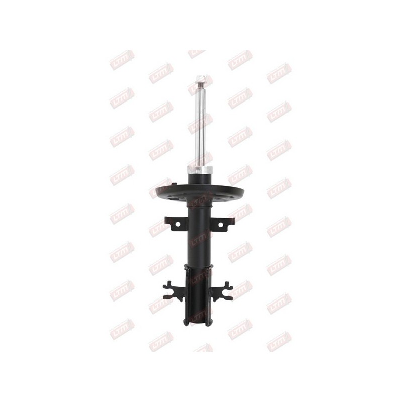 Amortisseur Suspension Avant Pour Renault Laguna III 543020001R 543020002R