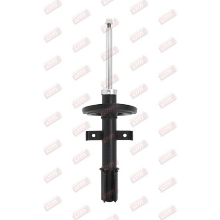 Amortisseur Suspension Avant Pour Renault Clio IV 543020808R 543021406R