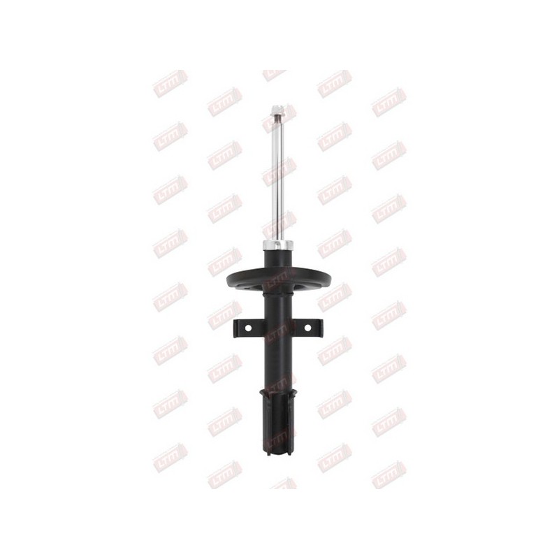 Amortisseur Suspension Avant Pour Renault Clio IV 543020808R 543021406R