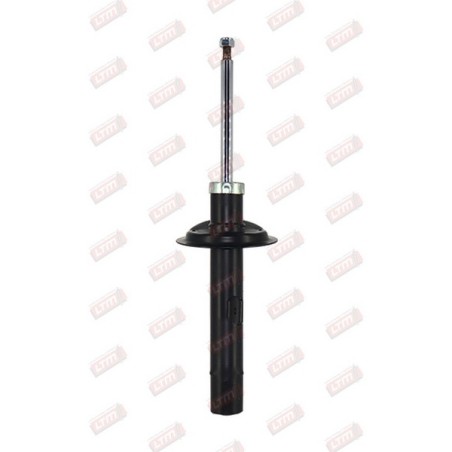 Amortisseur Suspension Avant Droit Pour Citroën Xsara CITRAAM007 CITRAAM009