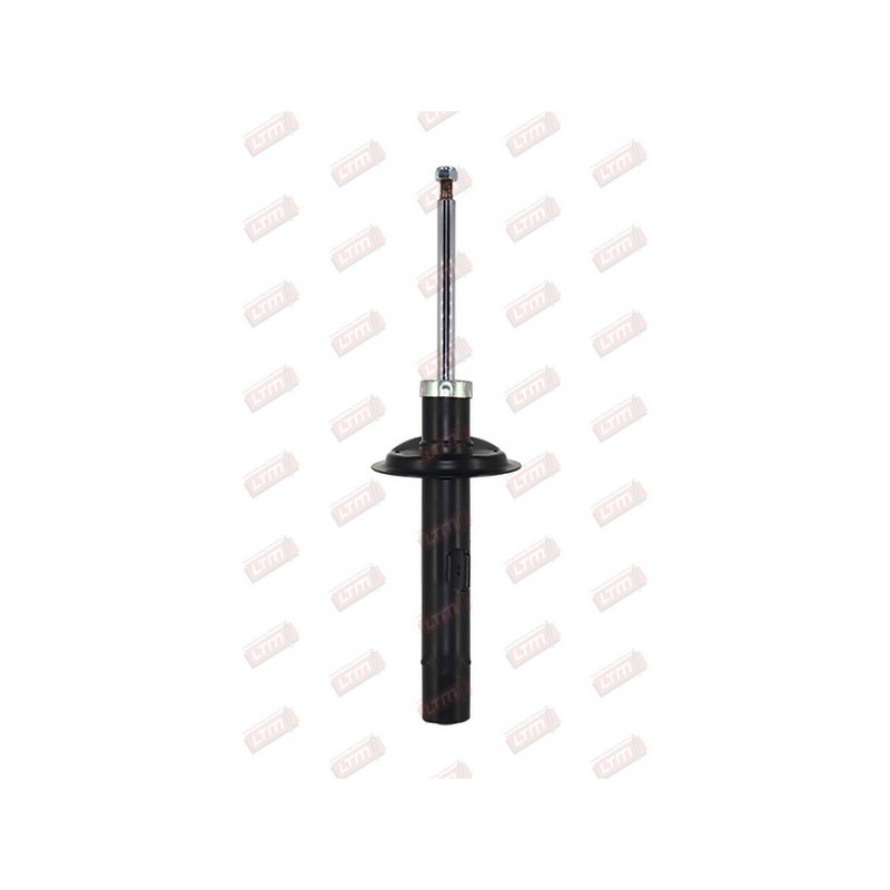 Amortisseur Suspension Avant Droit Pour Citroën Xsara CITRAAM007 CITRAAM009