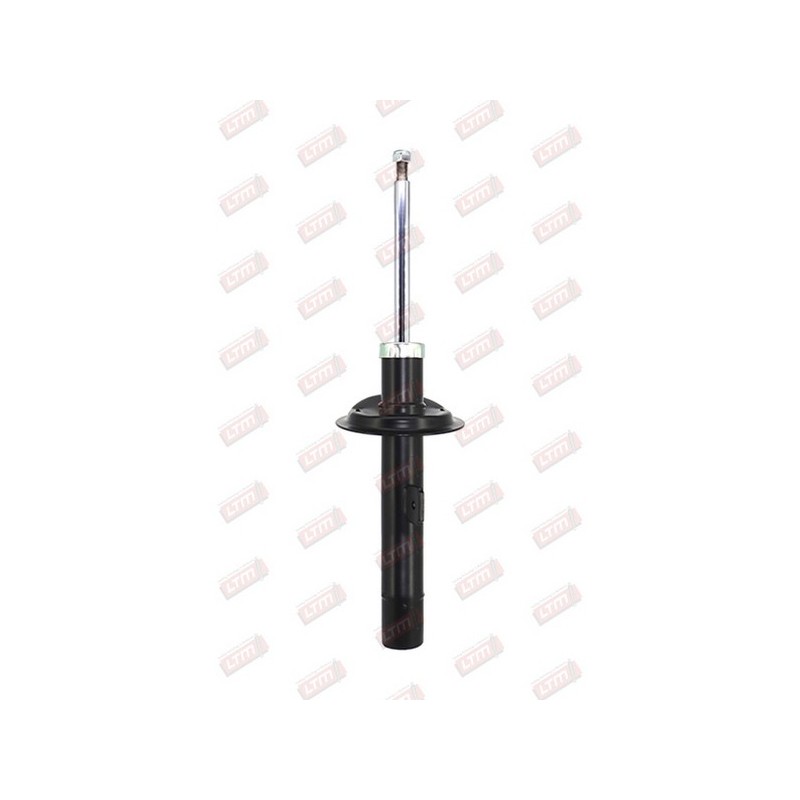 Amortisseur Suspension Avant Droit Pour Peugeot 206 206+ 5202KJ 5202LT 5202LW