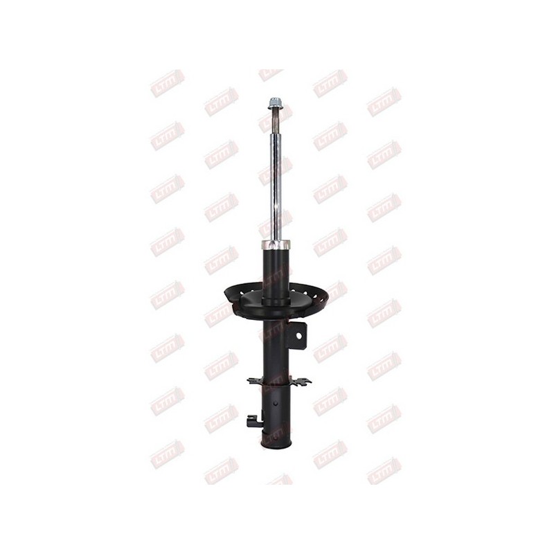 Amortisseur Suspension Avant Gauche Pour Peugeot Renault Fiat Citroën 5202WP