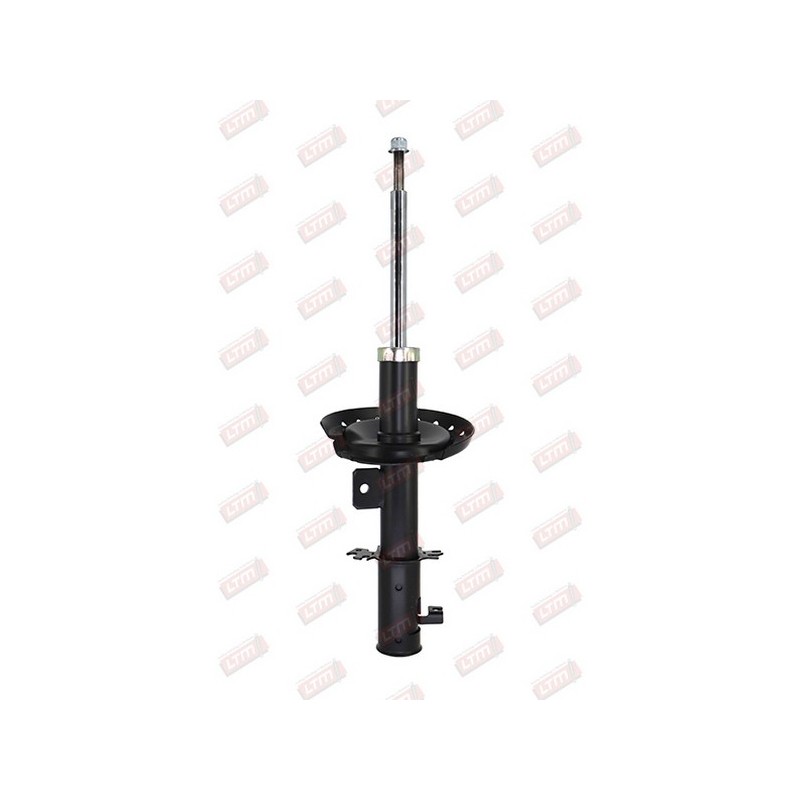 Amortisseur Suspension Avant Droit Pour Peugeot Renault Fiat Citroën 5202WQ