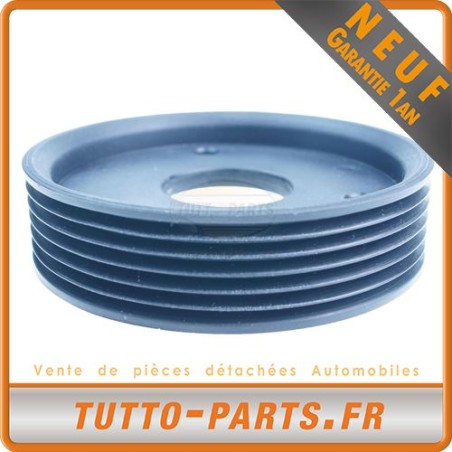 Poulie Pompe Direction Assistée pour RENAULT Master II