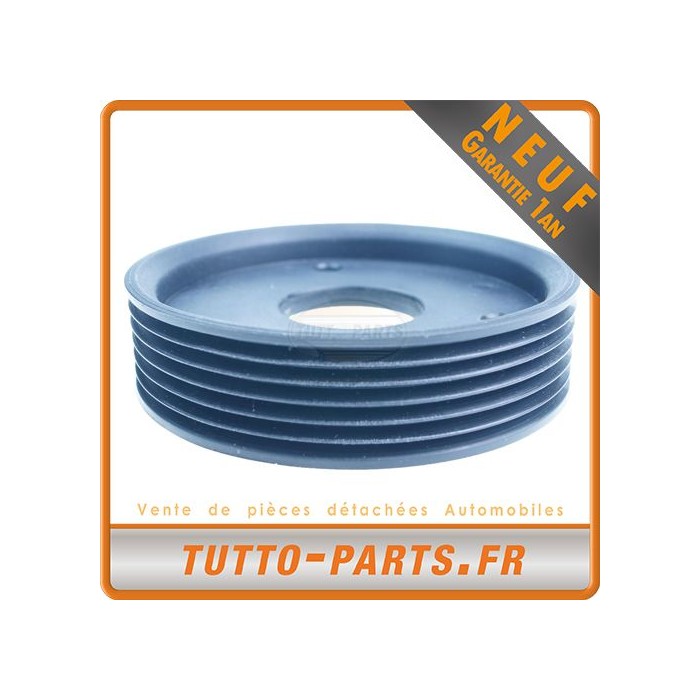Poulie Pompe Direction Assistée pour RENAULT Master II