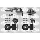 Kit De Distribution + Pompe à Eau Pour Peugeot Fiat Ford Citroën DS DS5 0831W1