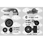 Kit De Distribution + Pompe à Eau Pour Peugeot 207 Opel Fiat Ford 1609417680