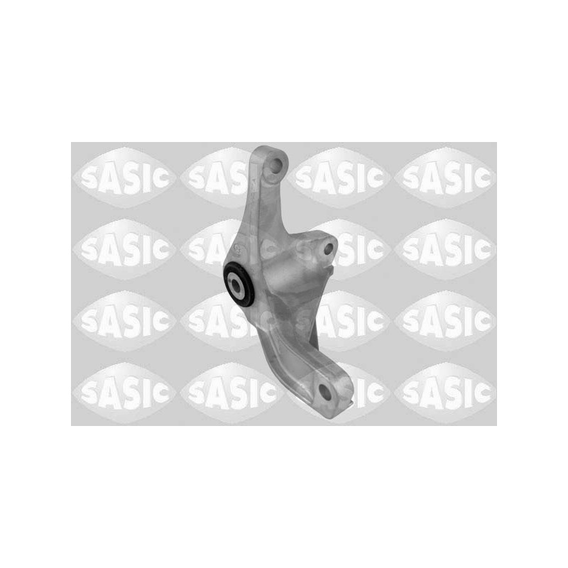 Support Moteur Arrière Pour Ford Kuga I II 1502464