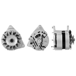 Alternateur Pour Renault Ford Capri Austin Innocenti 82BB-10300-HA 82FB-10300-EA