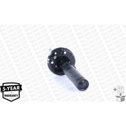 1 Amortisseur Pour VW Audi Skoda 1T0413031FS 1K0413031AQ 1T0413031CN 1T0413031GG