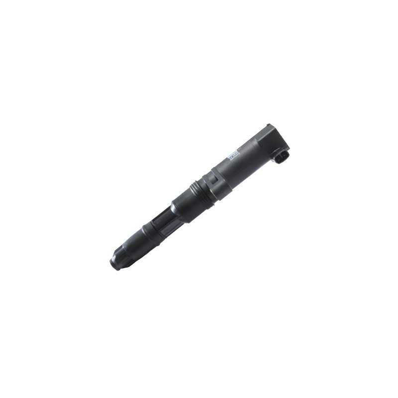 Bobine d'Allumage Pour Renault Dacia Opel Nissan 7700875000 4413233 2244800Q0A