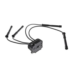 Bobine d'Allumage Pour Renault Clio II Kangoo Thalia I Twingo 8200084401