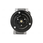 Compresseur De Clim Pour Renault Grand Scénic II Megane Nissan Qashqai +2 I Van