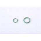 Condenseur de Clim Pour Renault Clio III Modus 8200443897 8200688393