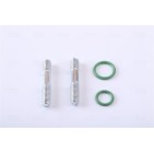 Condenseur de Clim Pour Renault Clio II Thalia I 8200245598 8200742595