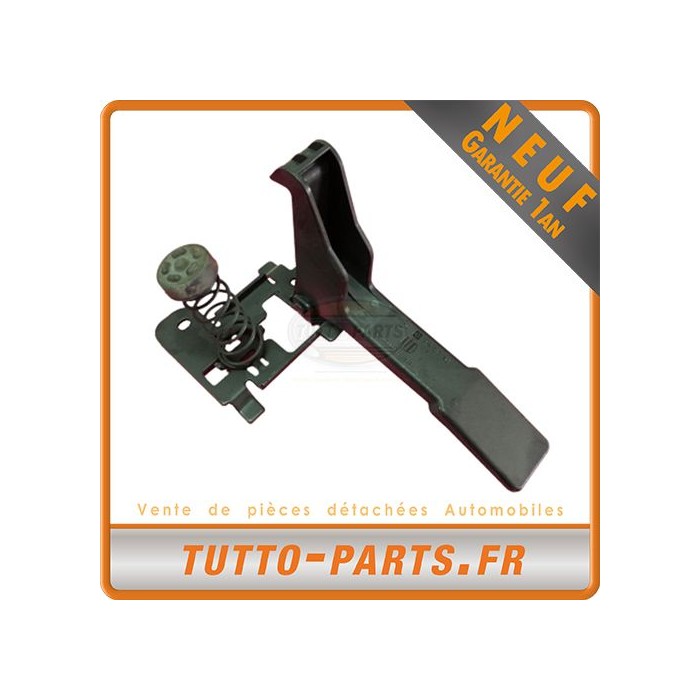 Serrure de capot pour RENAULT Scenic III