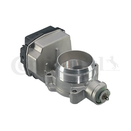 Corps Papillon Pour Peugeot 307 407 807 Expert Citroën C4 I Picasso C5 II III