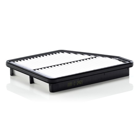 Filtre à Air Pour Hyundai Matrix 28113-17500